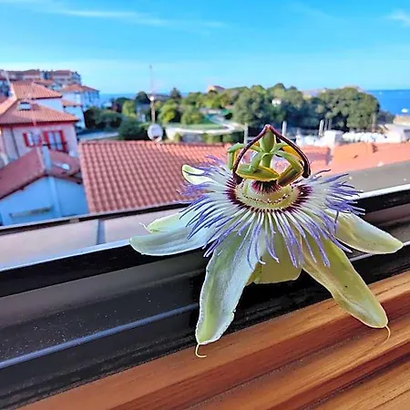 Hotel Mundaka Surf Plaza 4*